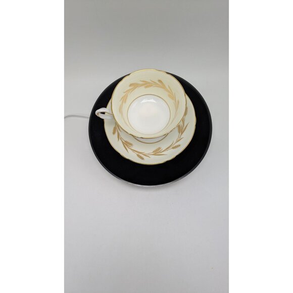 Shelley Golden Harvest 13685 Bone China Gainsborough Shape Tea Cup Saucer Set - Picture 5 of 16